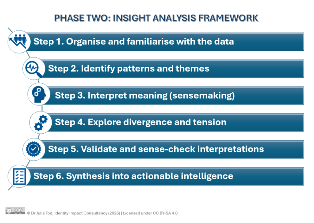 Phase Two Insight Analsis Framework